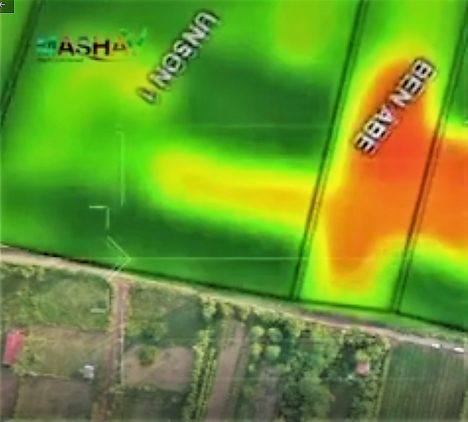 Satellite-assisted crop monitoring