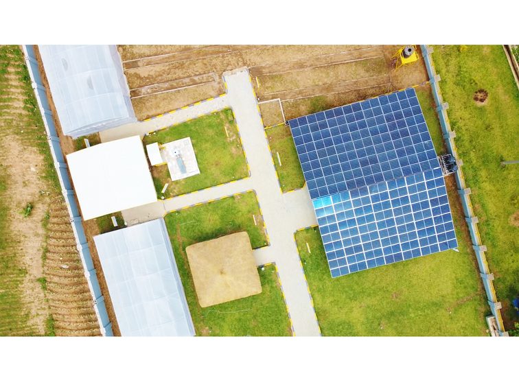 Solar array from above